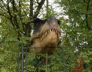 Výlet s klienty STD do ZOO a Dinoparku Plzeň
