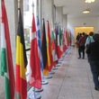 IMG_2654.JPG