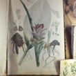 DSCF7394.JPG