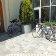 DSCF7006.JPG