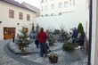 DSCF1823.JPG