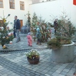 DSCF1848.JPG