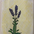 DSCF1867.JPG
