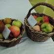 DSCF0822.JPG