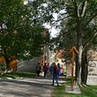 P1170531.JPG