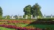 P1040756-001.JPG