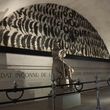 DSCF7748.JPG