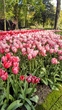 IMG_20170428_103141_HDR.jpg