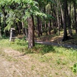IMG_20170602_120129_HDR.jpg