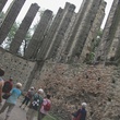 050.JPG