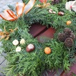DSCF1480.JPG