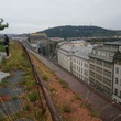 P6090941.JPG
