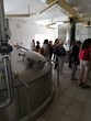 2021-06-26_005.jpg